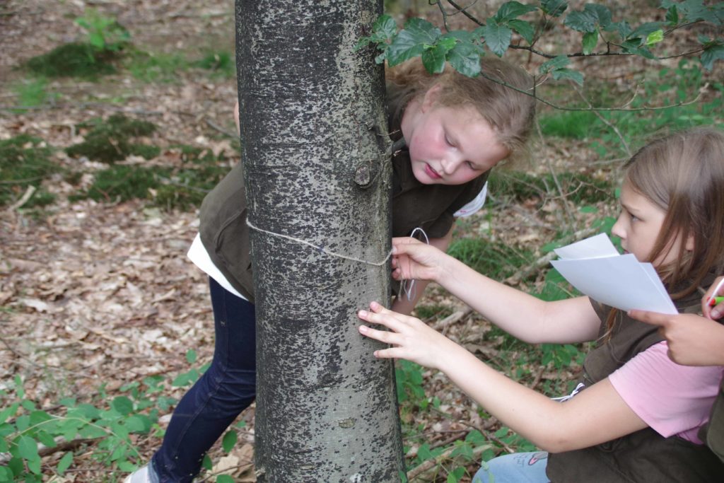 Stadtwerke Rastatt unterstützt Aktionen mit Naturpark-Entdecker-Westen