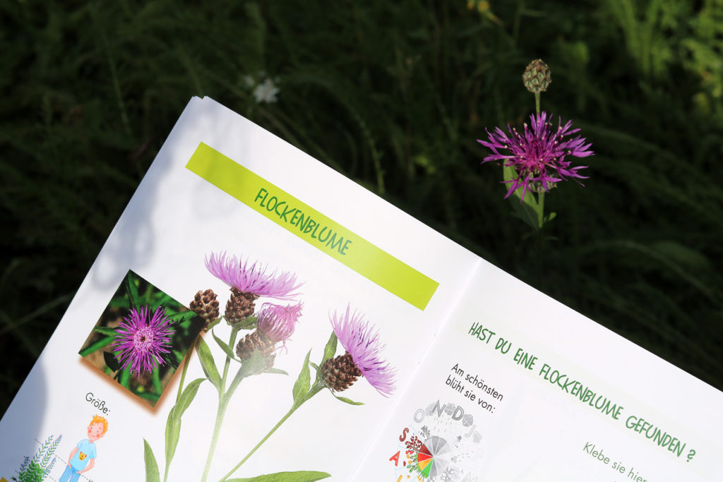 Herbstaussaat Blühender Naturpark 2019 in Glatten