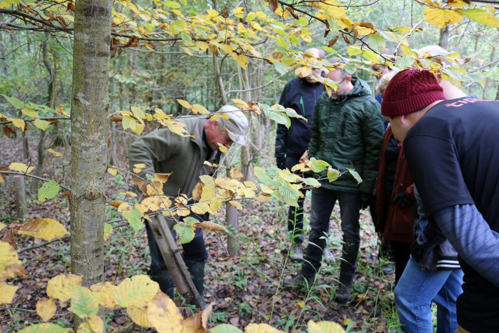 Herzenssache Wuchshüllen Baden-Baden