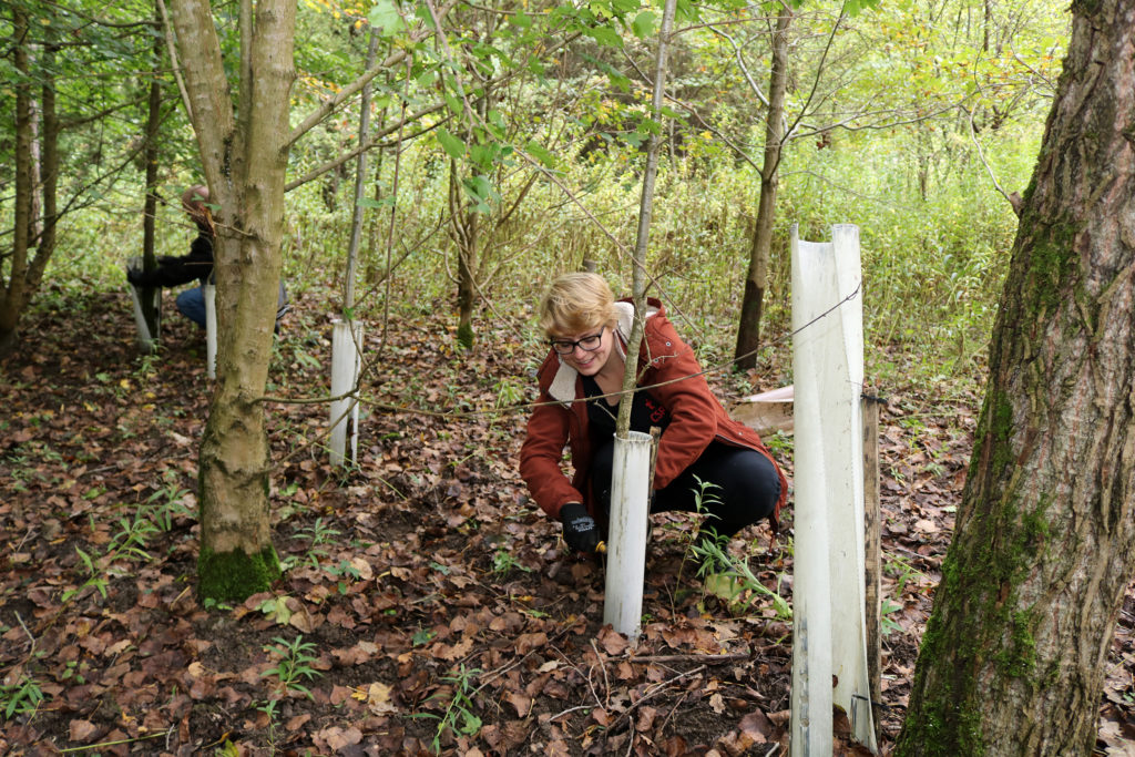 Herzenssache Natur Wuchshüllen Baden-Baden