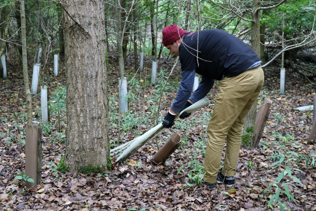 Herzenssache Natur Wuchshüllen Baden-Baden