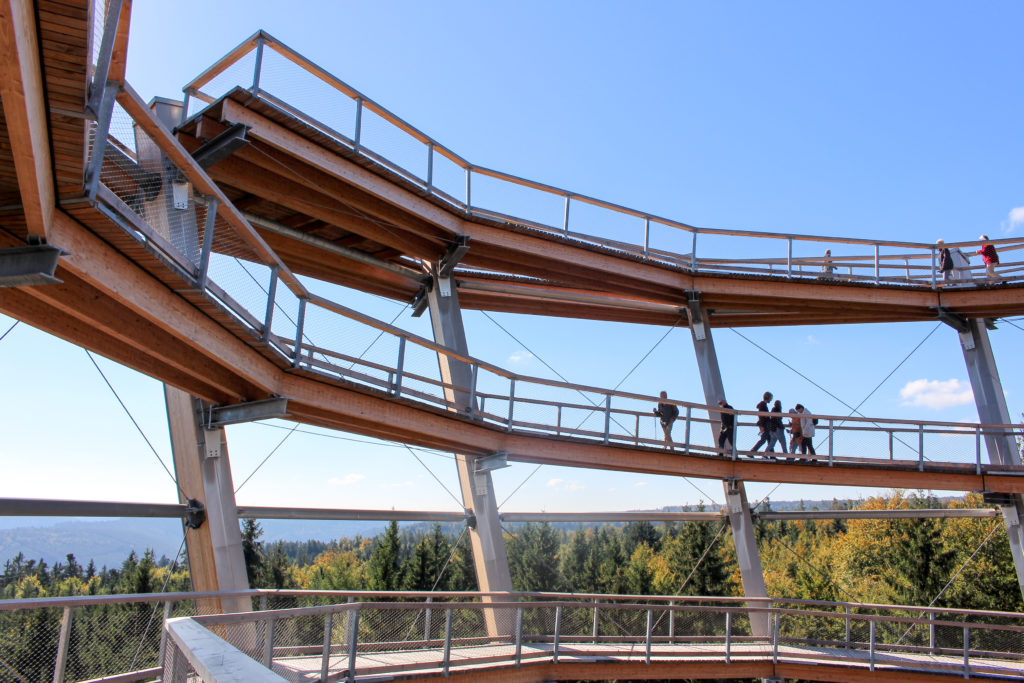 Baumwipfelpfad im Farbenrausch - Herbstveranstaltungen
