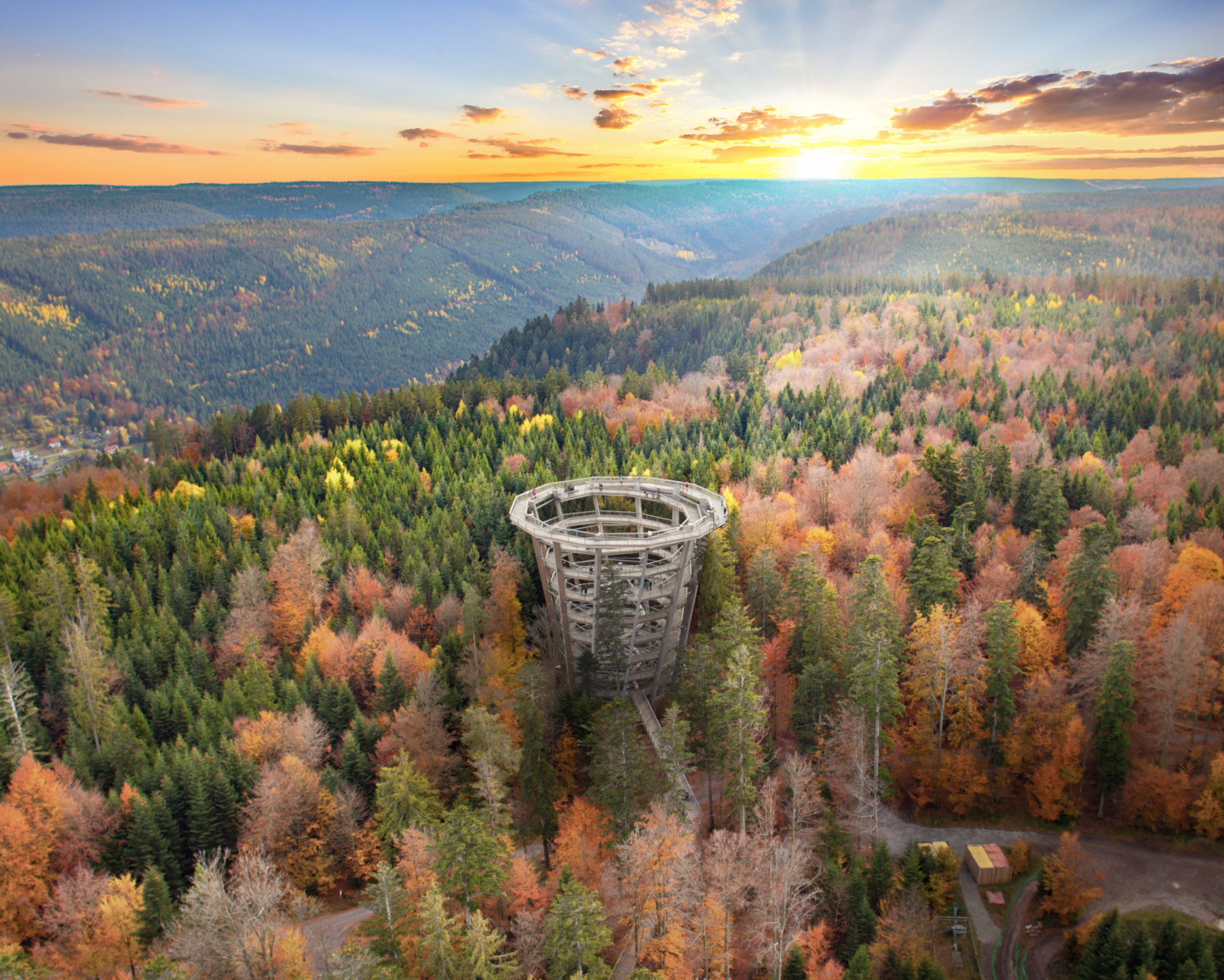 Baumwipfelpfad im Farbenrausch - Herbstveranstaltungen