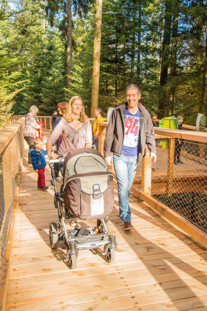 Baumwipfelpfad im Farbenrausch - Herbstveranstaltungen