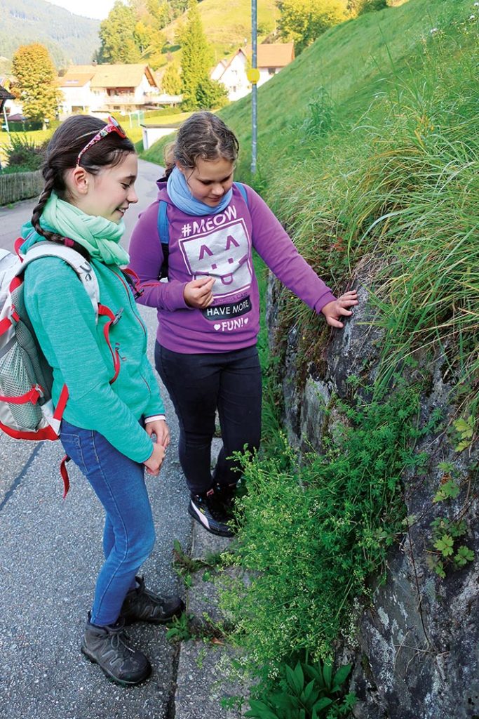 GeoTour Wolfach - zu Gneisen und Graniten
