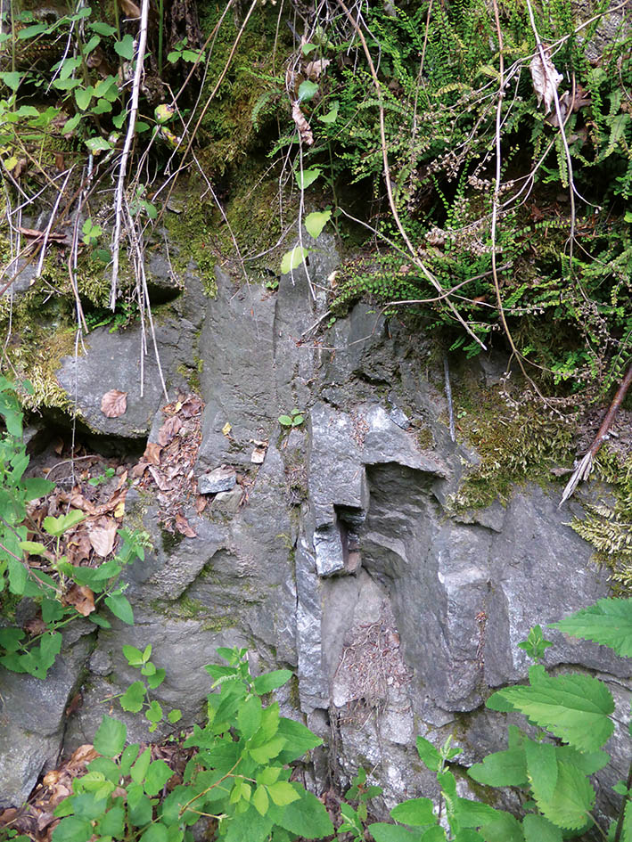 GeoTour Wolfach - zu Gneisen und Graniten