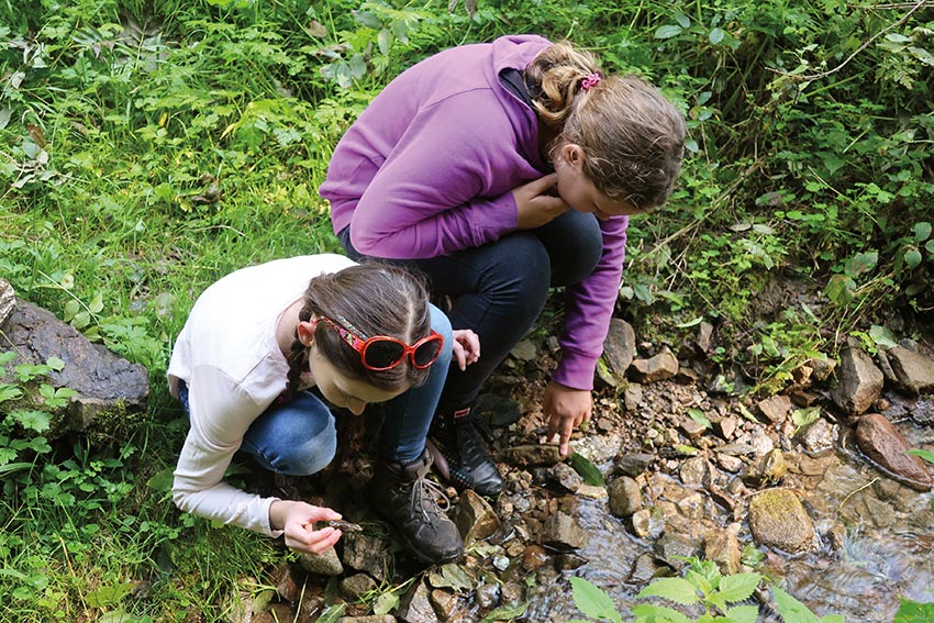 GeoTour Wolfach - zu Gneisen und Graniten
