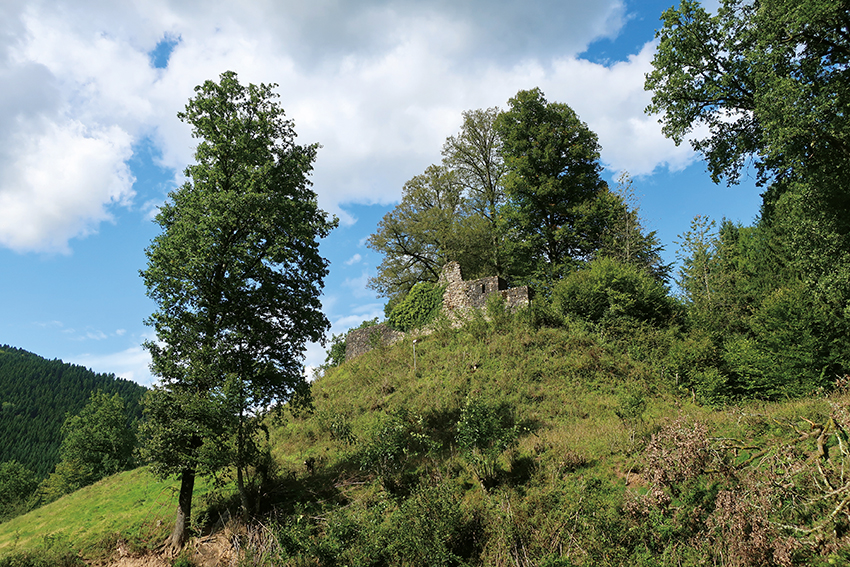 GeoTour Wolfach - zu Gneisen und Graniten