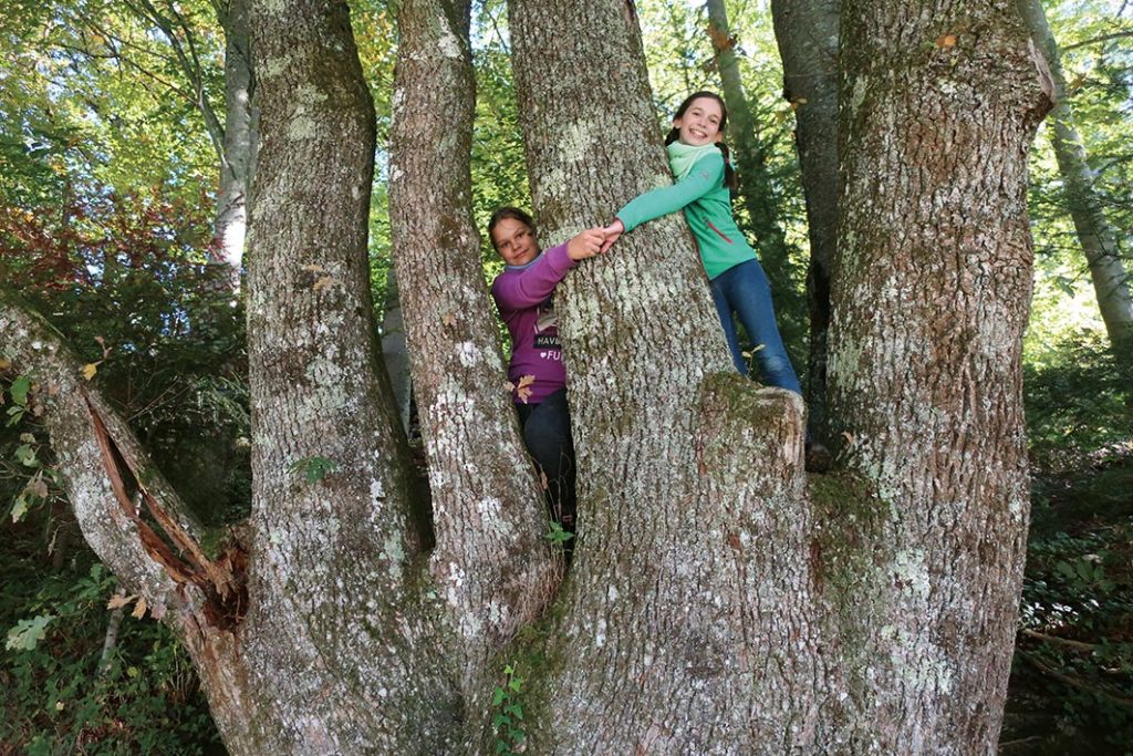 GeoTour Wolfach - zu Gneisen und Graniten