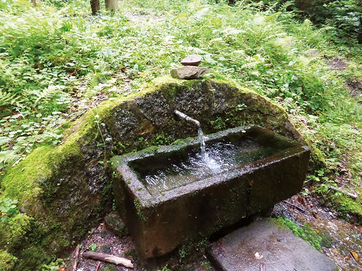 GeoTour Wolfach - zu Gneisen und Graniten