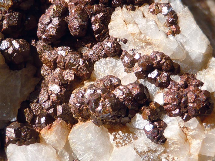 GeoTour Wolfach - zu Gneisen und Graniten