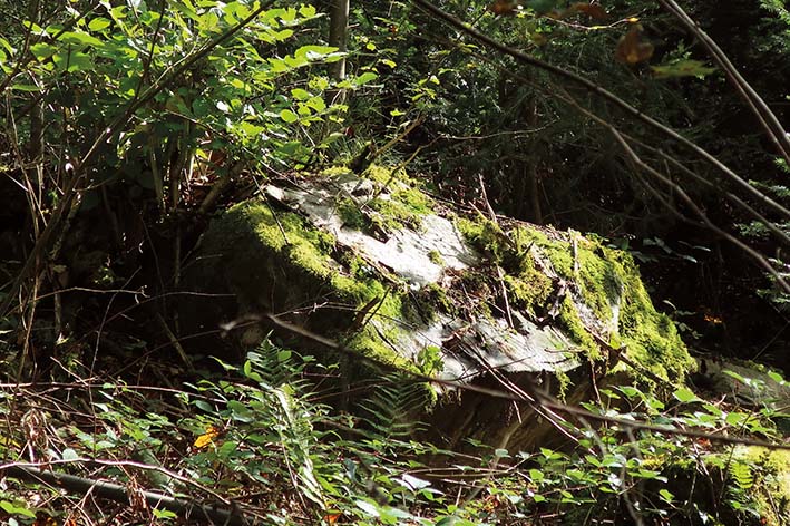 GeoTour Wolfach - zu Gneisen und Graniten