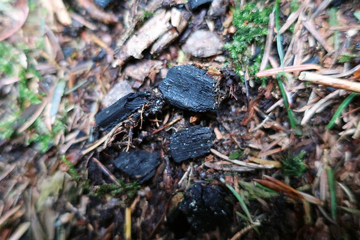 GeoTour Wolfach - zu Gneisen und Graniten