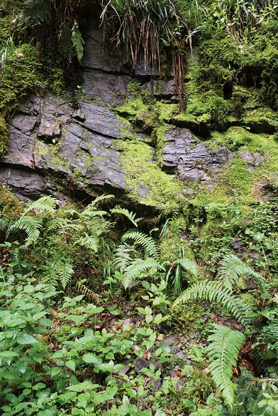 GeoTour Wolfach - zu Gneisen und Graniten
