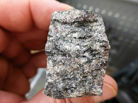 GeoTour Wolfach - zu Gneisen und Graniten