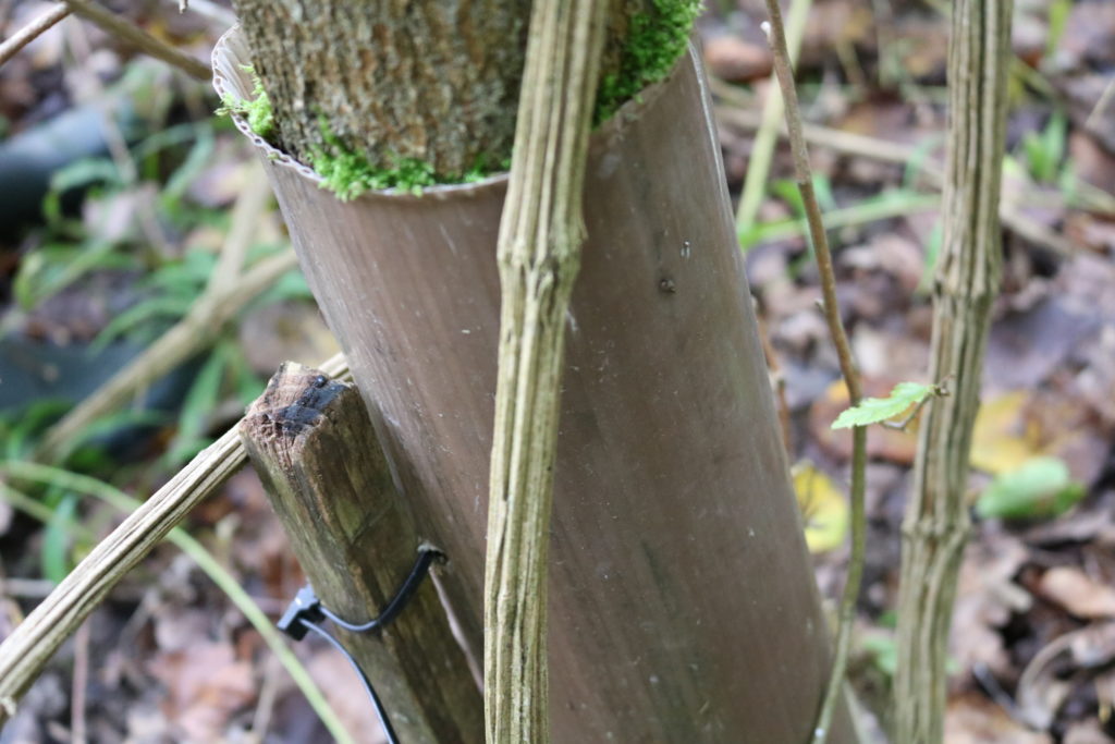 Herzenssache Wuchshüllen Baden-Baden