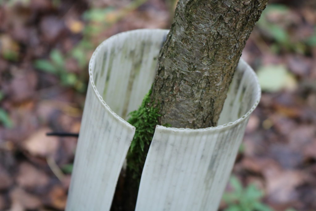 Herzenssache Wuchshüllen Baden-Baden