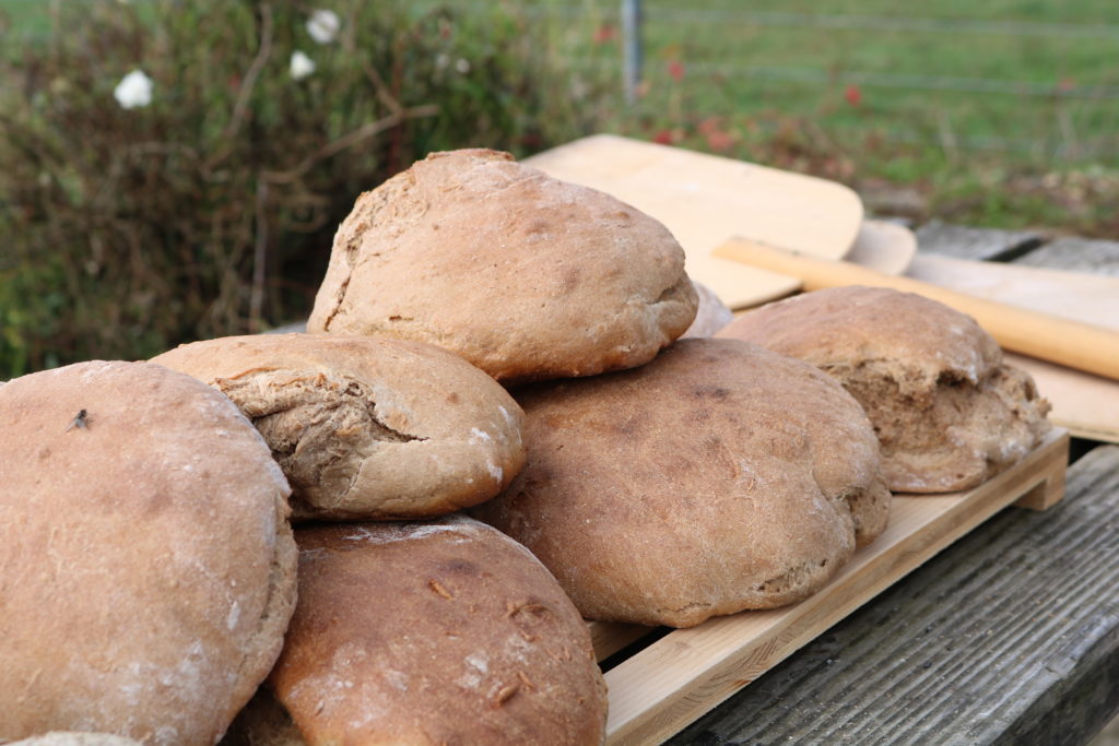 Naturpark-Schule neun, zehn, elf!