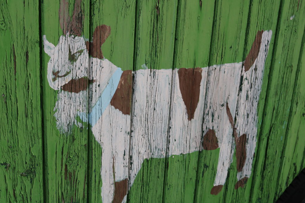 Naturpark-Schule neun, zehn, elf!