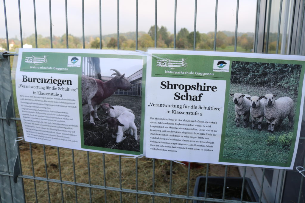 Naturpark-Schule neun, zehn, elf!