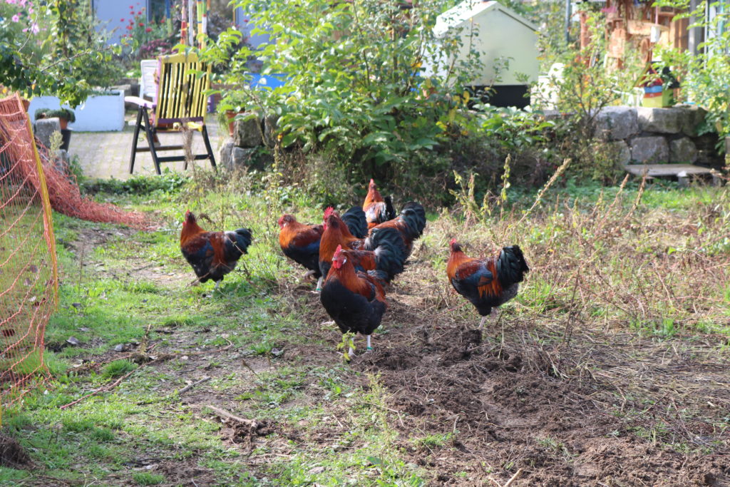 Naturpark-Schule neun, zehn, elf!