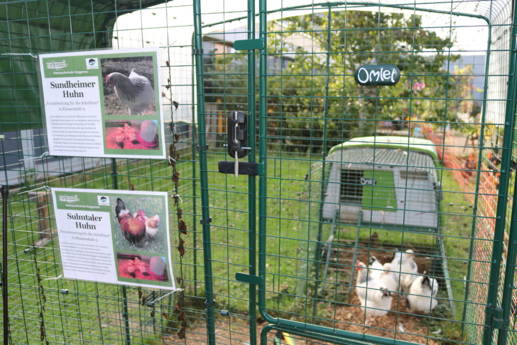 Naturpark-Schule neun, zehn, elf!