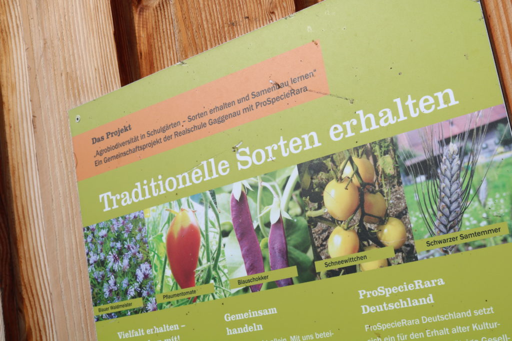 Naturpark-Schule neun, zehn, elf!