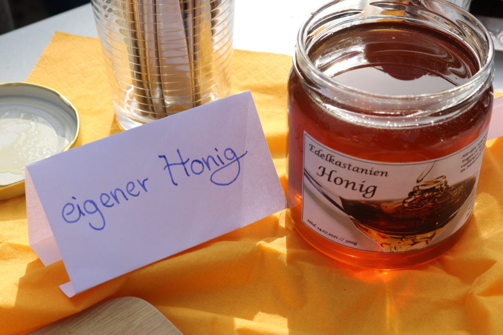 Naturpark-Schule neun, zehn, elf!