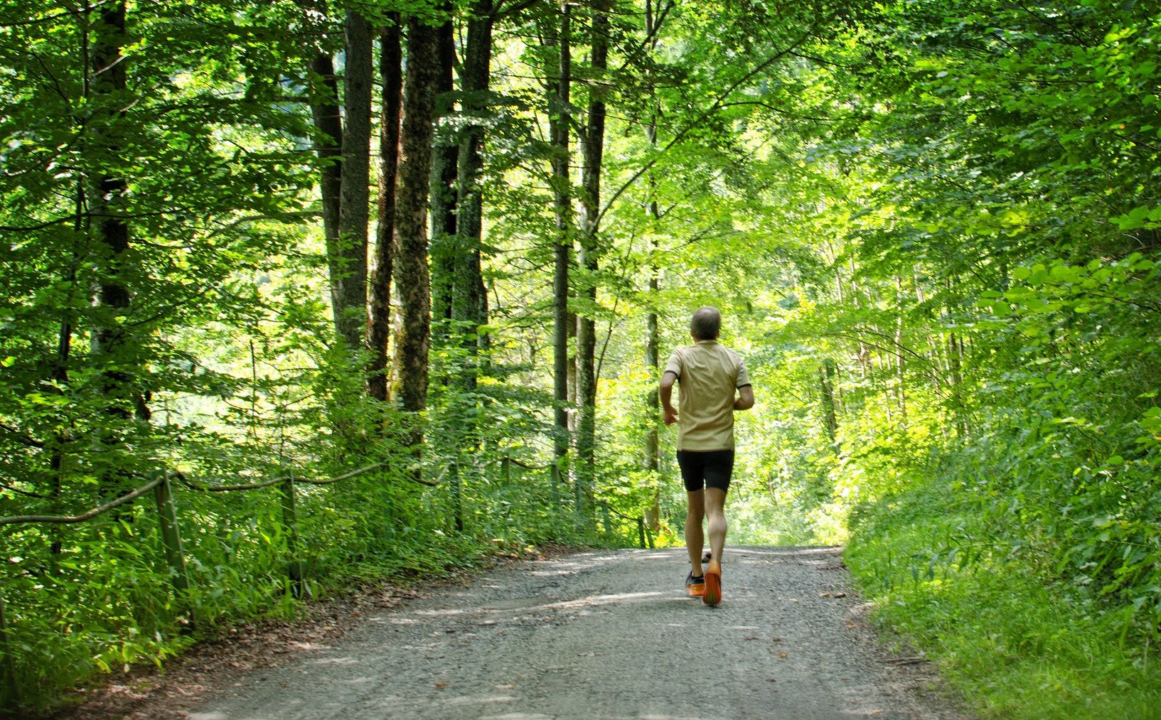AOK-Gesundheitstipp - Laufen und Walken
