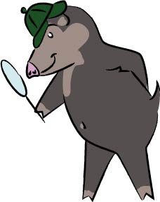 Wally Wildschwein Naturpark-Detektive