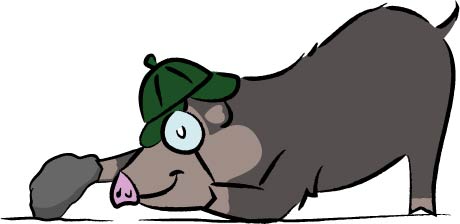 Wally Wildschwein Naturpark-Detektive