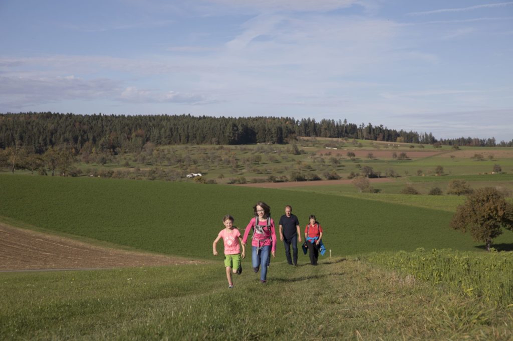 Naturpark-Augenblicke Ebhausen