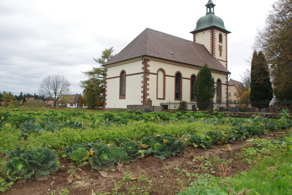 Hofbauernhof Loßburg-Schömberg - Gemüsefeld und Kirche