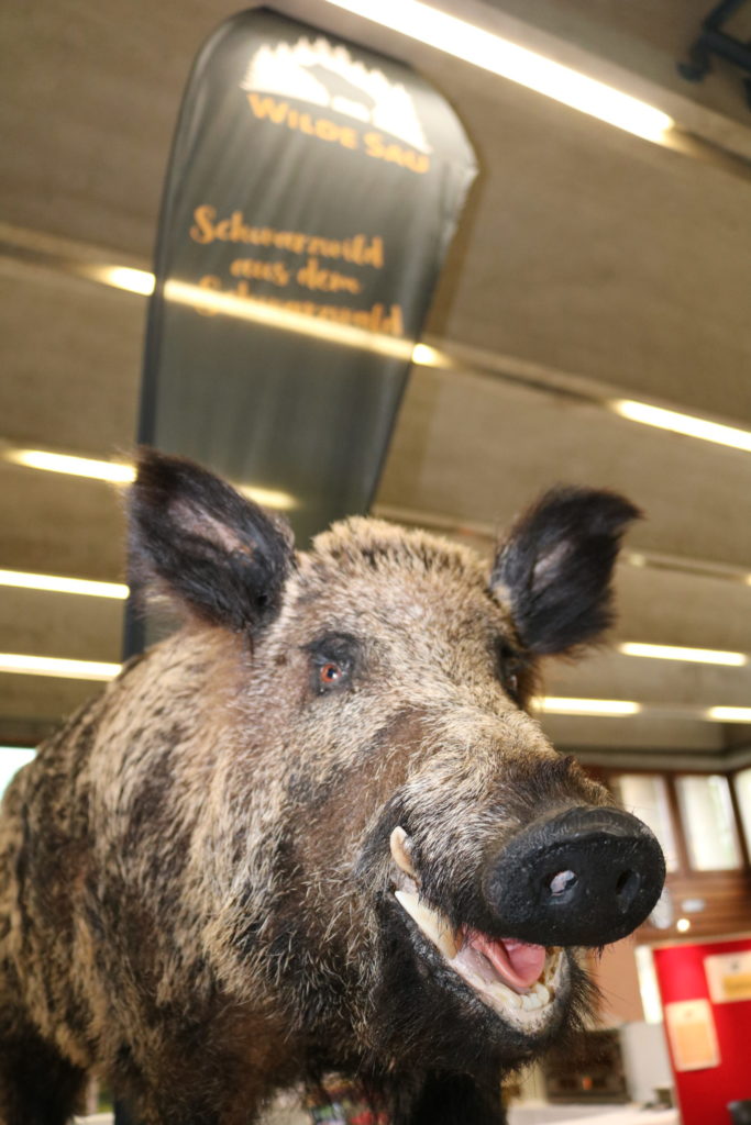 Genuss-Messe Zell am Harmersbach - Wilde Sau