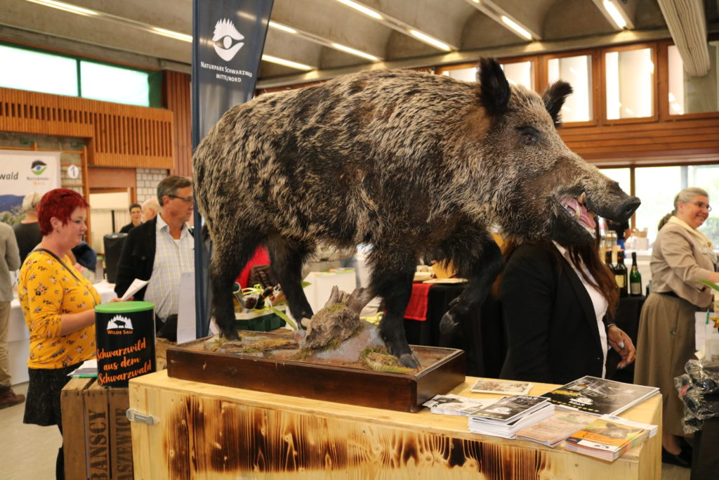 Genuss-Messe Zell am Harmersbach - Wilde Sau