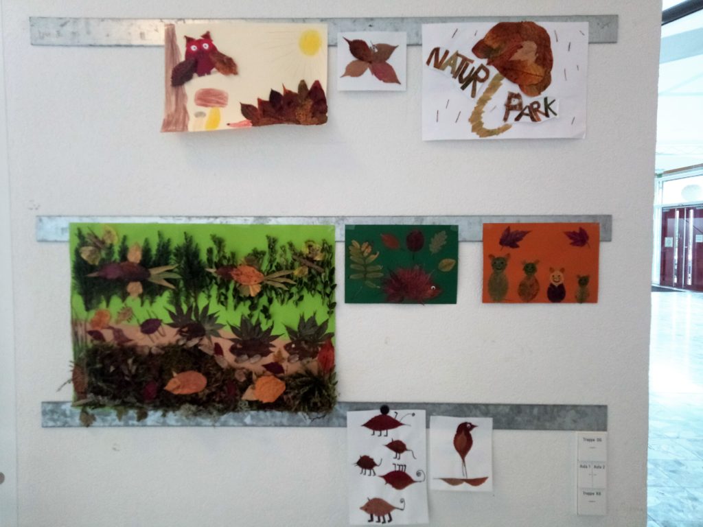 Naturpark-Detektive Naturpark-Schule Oberwolfach Wolftalschule