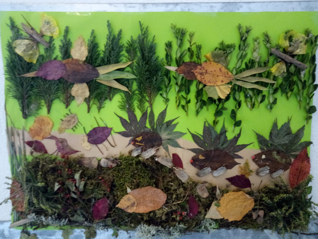 Naturpark-Detektive der Naturpark-Schule Oberwolfach