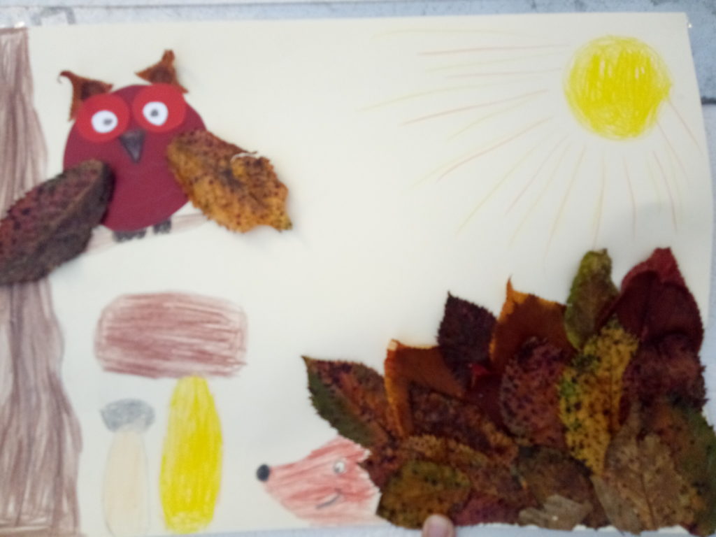 Naturpark-Detektive Naturpark-Schule Oberwolfach Wolftalschule