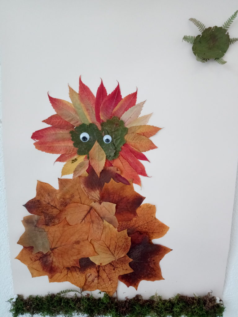 Naturpark-Detektive Naturpark-Schule Oberwolfach Wolftalschule