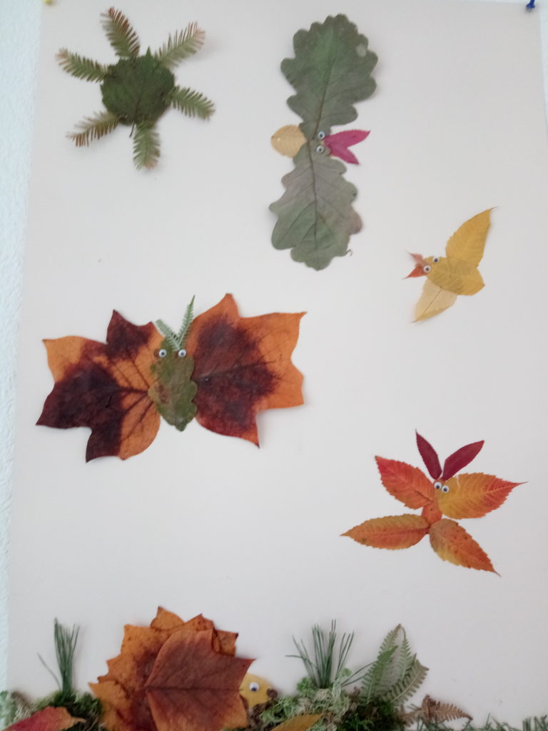 Naturpark-Detektive Naturpark-Schule Oberwolfach Wolftalschule