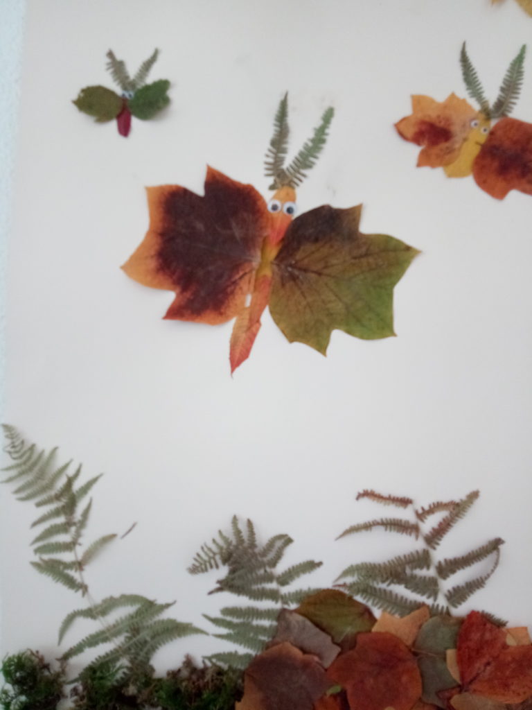 Naturpark-Detektive Naturpark-Schule Oberwolfach Wolftalschule