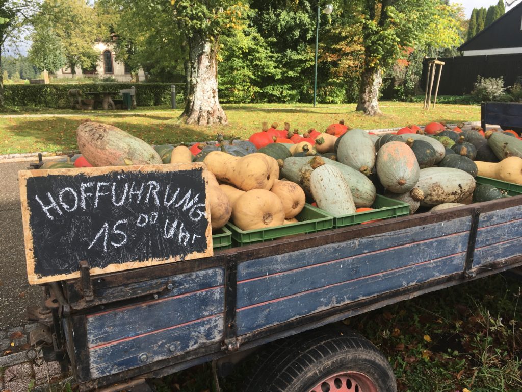 Hofbauernhof Loßburg-Schömberg - Kürbisse, Hofführung