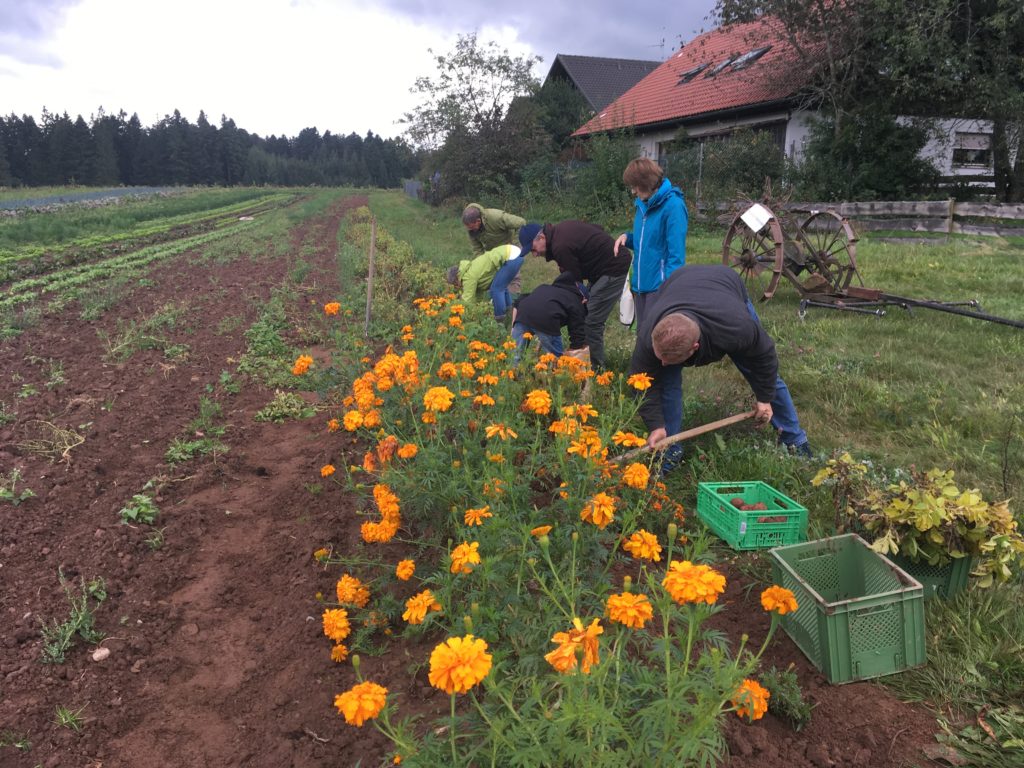 Hofbauernhof Loßburg-Schömberg - Handarbeit