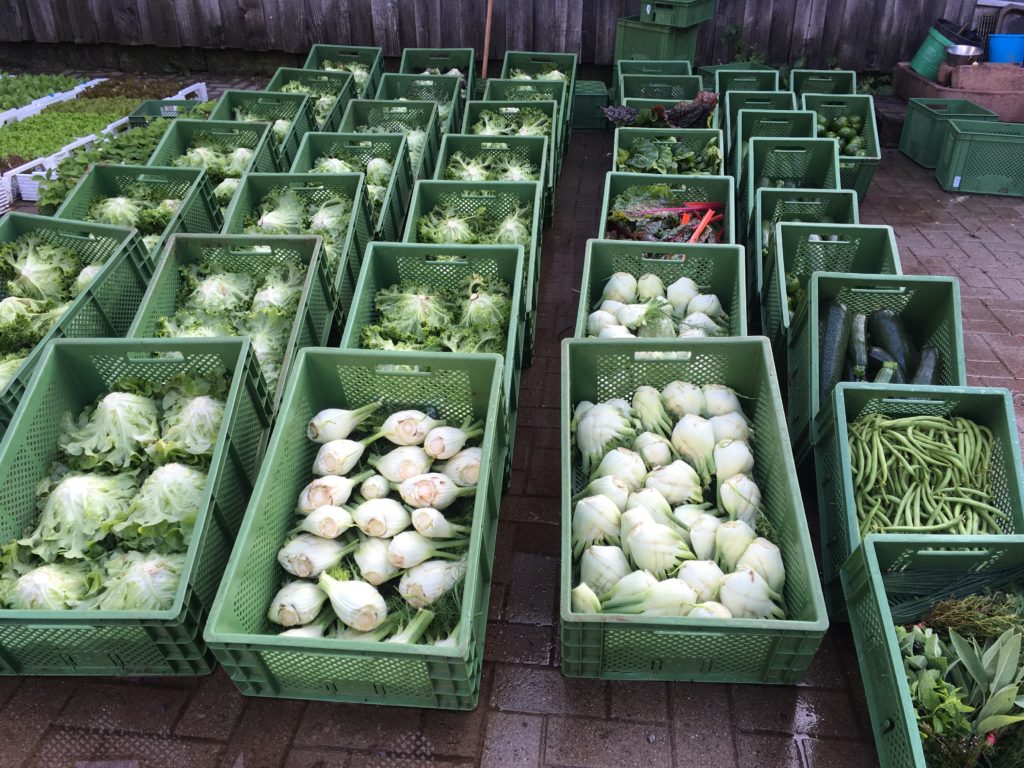Hofbauernhof Loßburg-Schömberg - Gemüsekisten