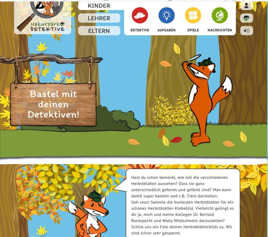 Naturpark-Detektive Naturpark-Schule Oberwolfach Wolftalschule
