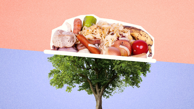 AOK-Klimachallenge - CO2