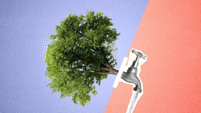 AOK-Klimachallenge CO2