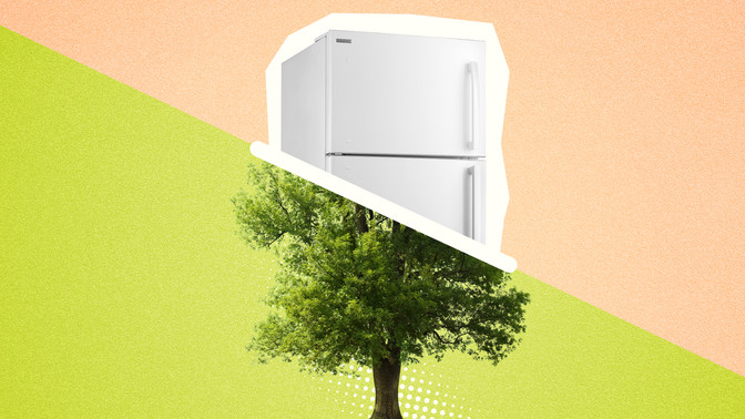 AOK-Klimachallenge CO2