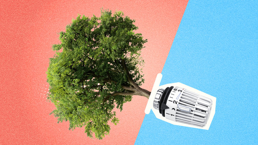 AOK-Klimachallenge - CO2