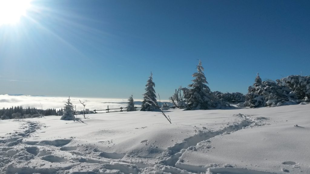 Winterfreuden auf dem Schliffkopf